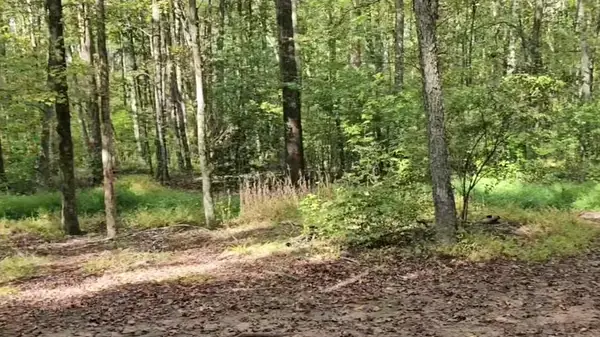 ATV riders on a tree-lined trail at NJ ATV Rentals