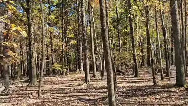 Quad riders cruising a sandy trail at NJ ATV Rentals